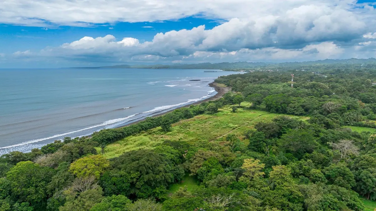 +9 Hectares of Flat Beachfront Land for Sale