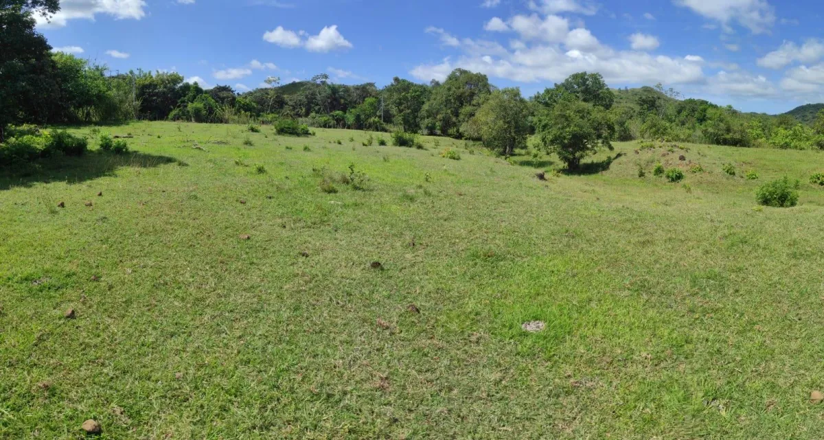 Investor Opportunity: High-Growth Area in Veraguas