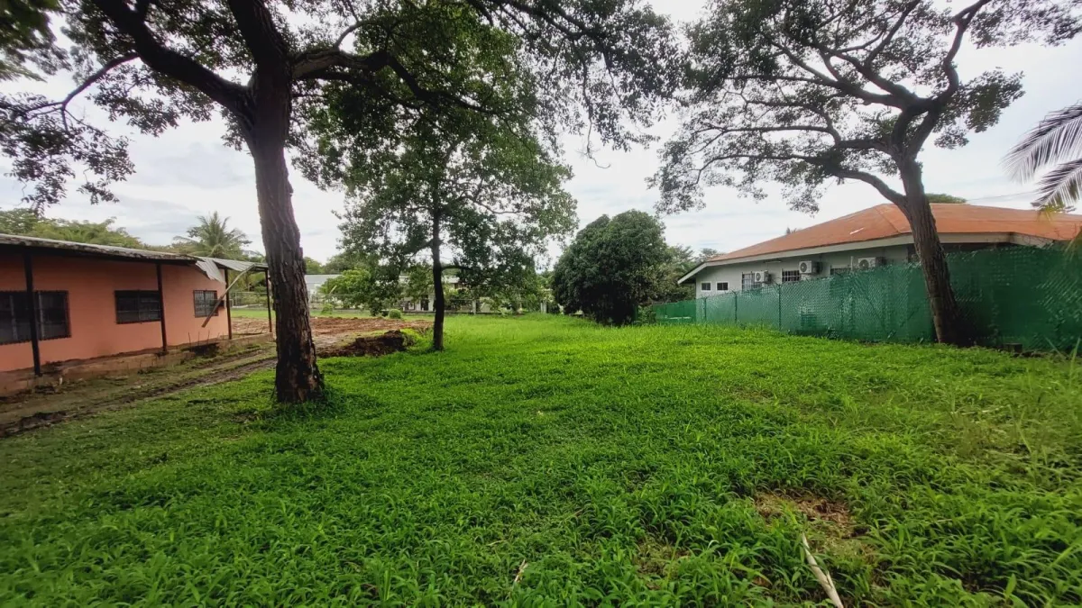 LOTE PLANO CERCA DE PICASSO CORONADO