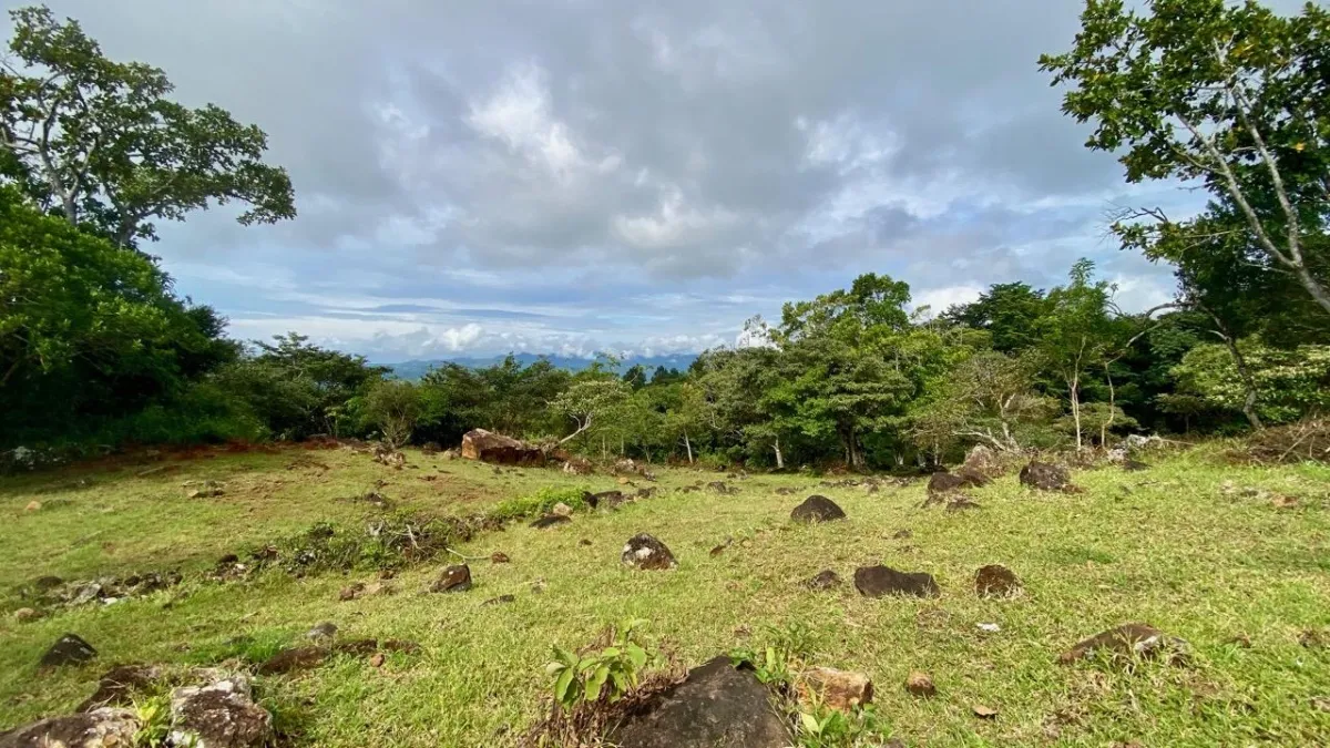 MOUNTAIN FINCA IN CHICA