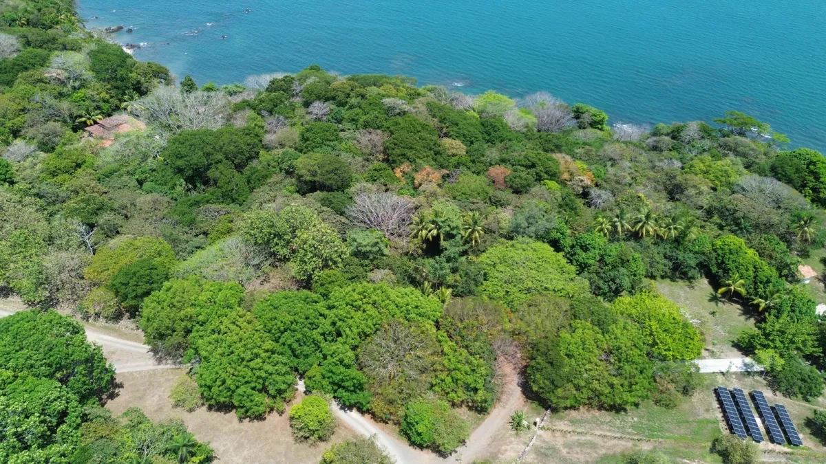 Lote de 4.506 m2 frente al mar en venta