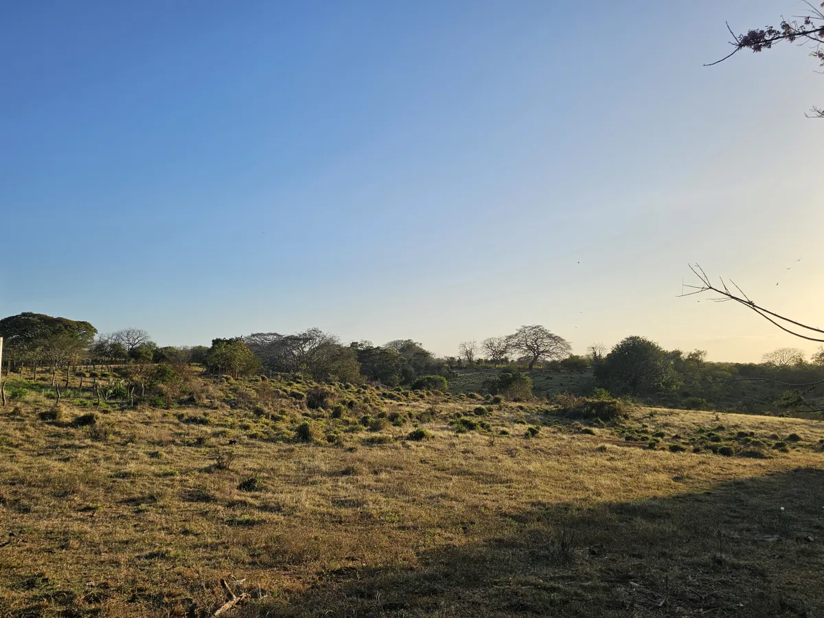 Land for Sale in Monagrillo, Herrera Panama