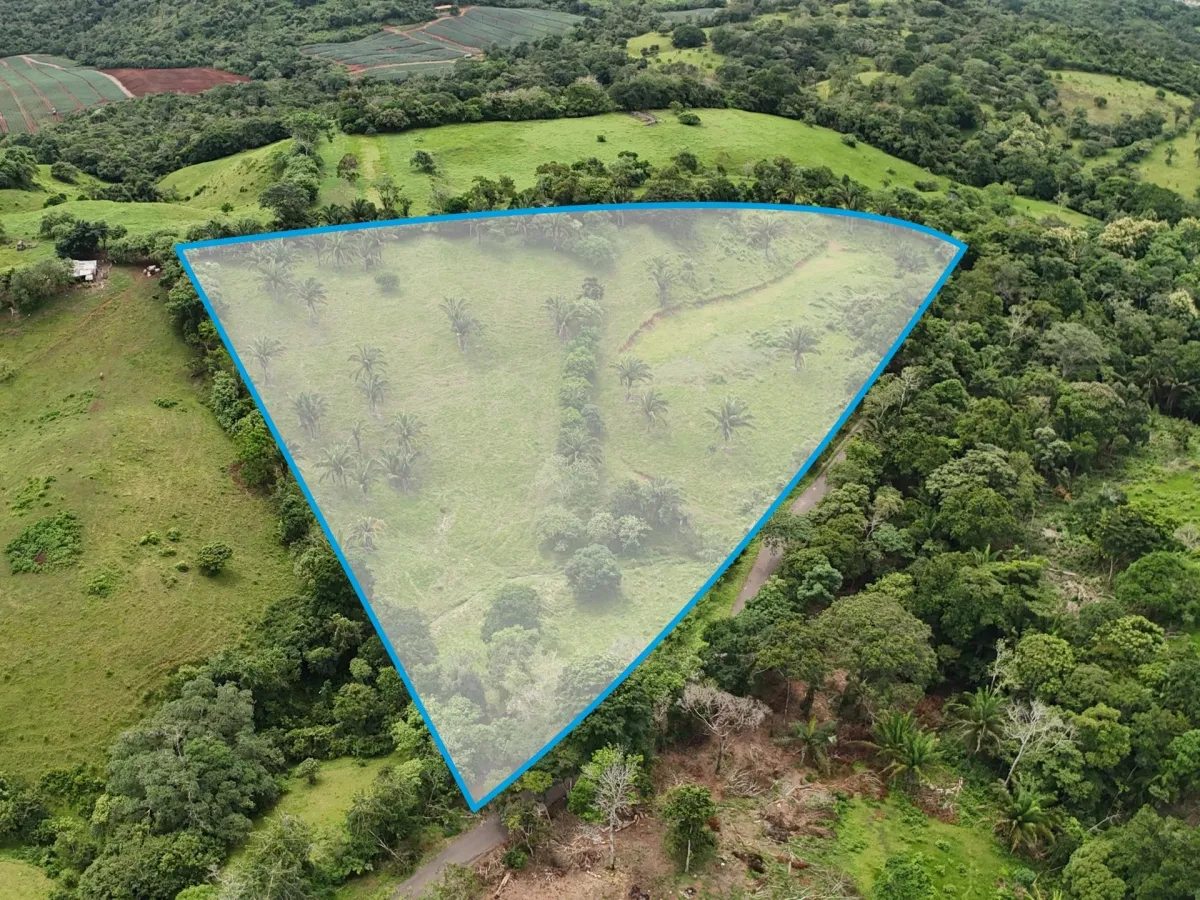 Land for Sale in El Trapichito, La Chorrera