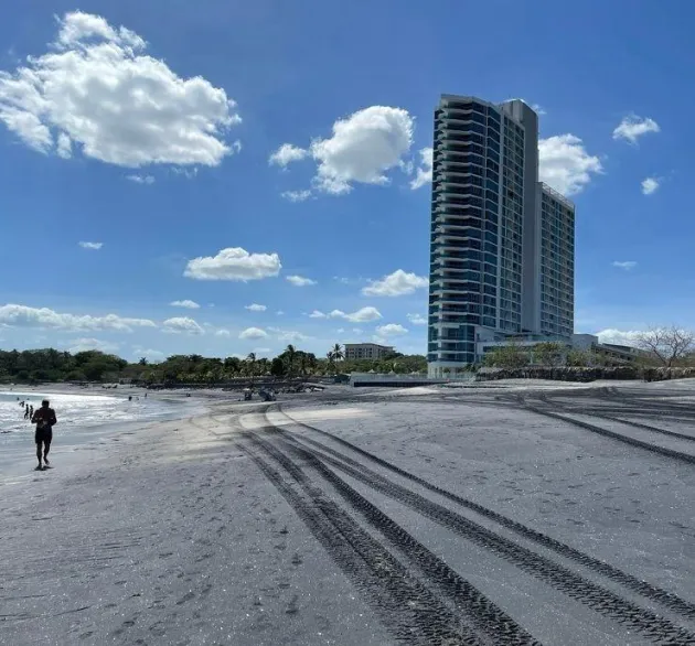 ROYAL PALM FRENTE A PLAYA MALIBÚ