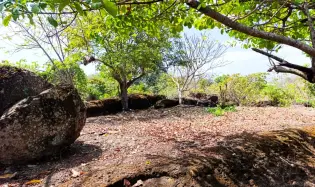Venta de terreno en Nueva Gorgona, Chame