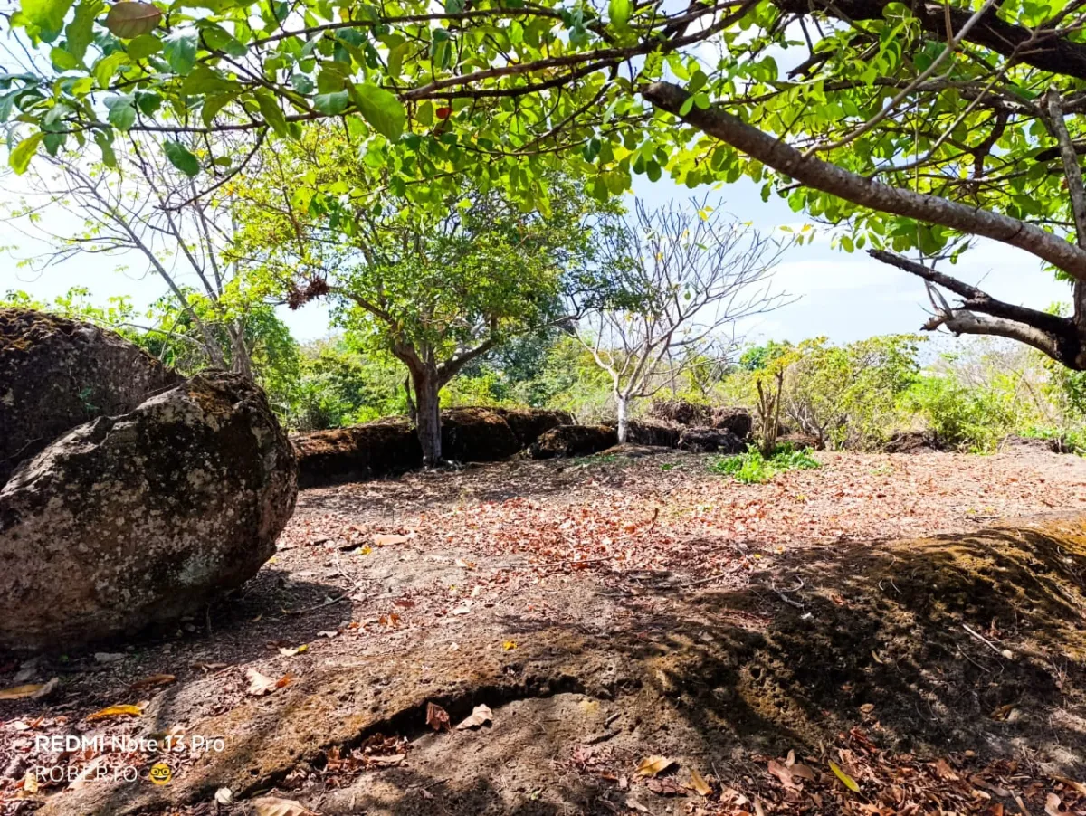 Venta de terreno en Nueva Gorgona, Chame