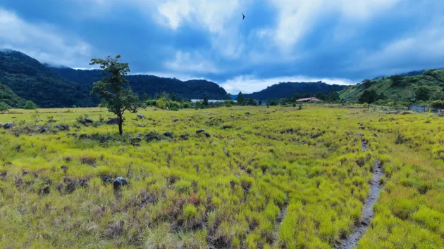 Large Residential Lot for Sale – Paso Ancho