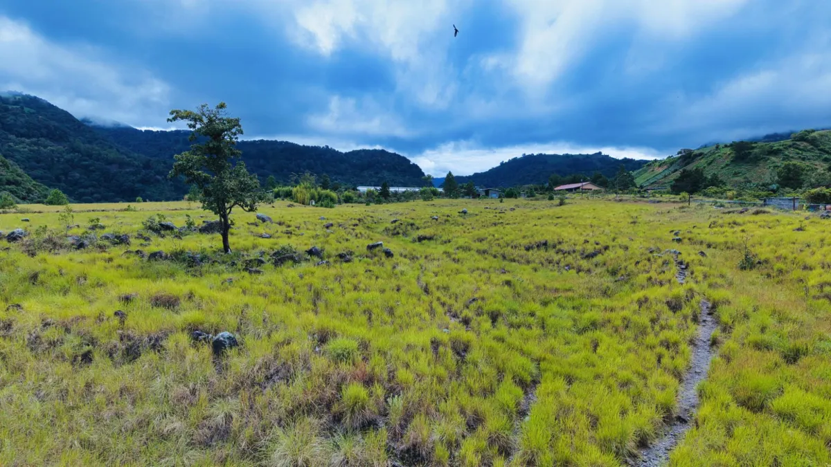 Amplio Lote Residencial en Venta – Paso Ancho