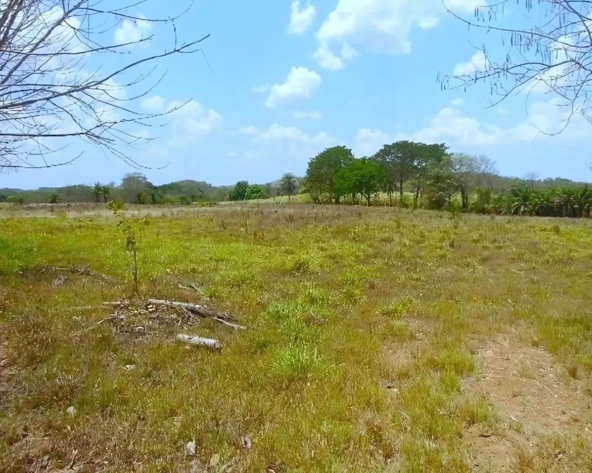 Terrenos en venta en Cañazas Abajo, Santiago, Veraguas