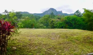 CASITA DE MONTAÑA Y GRAN TERRENO