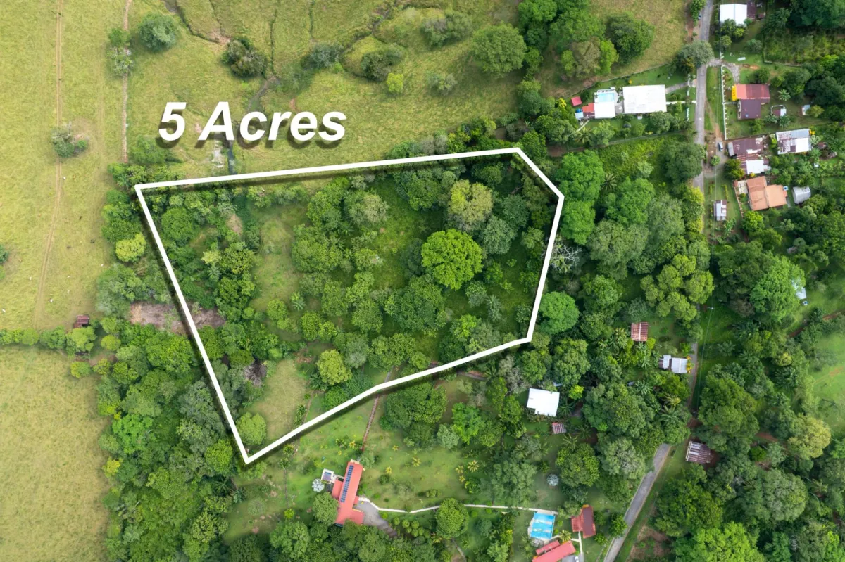 5 Flat Acres For Sale in Las Lajas Chiriqui