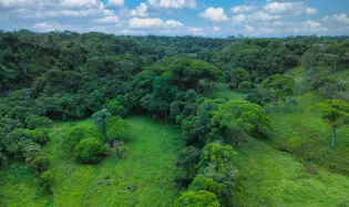 Naturaleza, Espacio y Potencial en un Solo Lugar