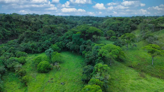 Naturaleza, Espacio y Potencial en un Solo Lugar