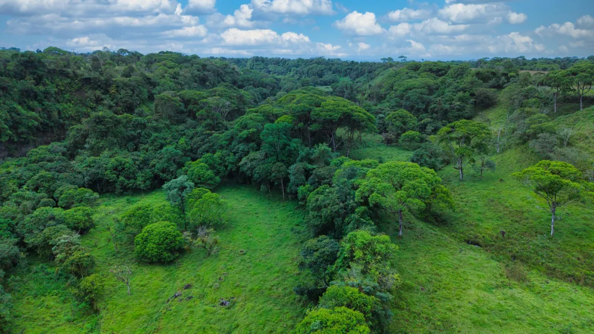 Nature, Space and Potential in One Place