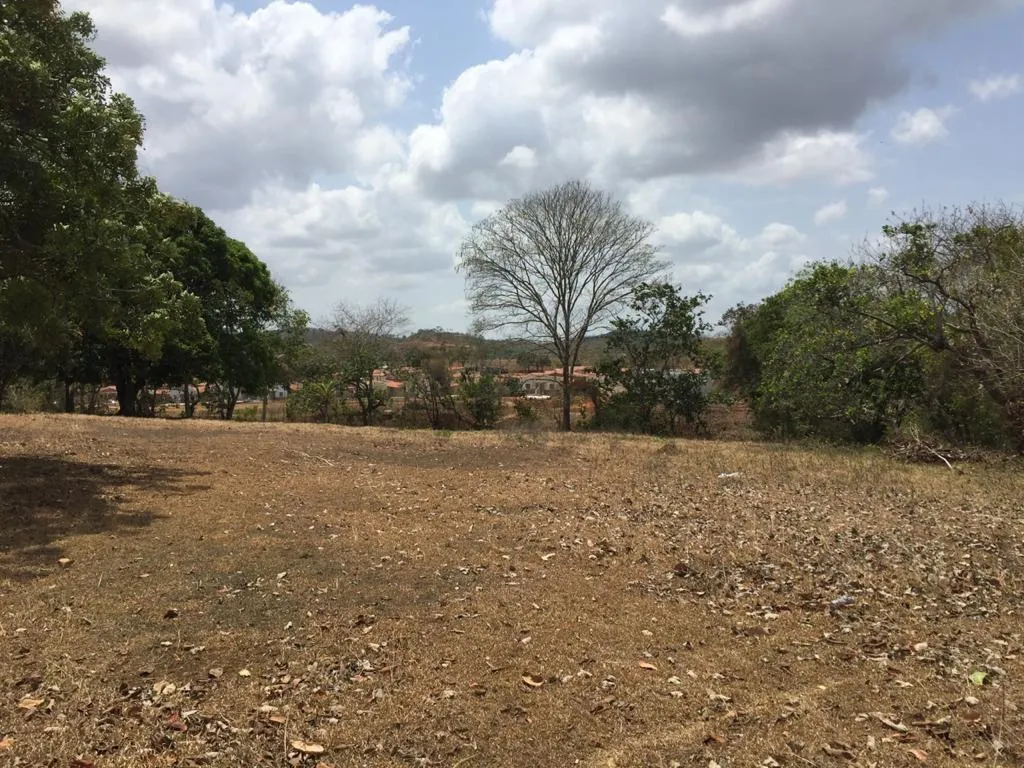 Venta de terreno en El Arado, La Chorrera