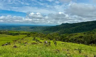 SE VENDE HERMOSA FINCA DE 16+ HECTAREAS EN JARAMILLO, BOQUETE
