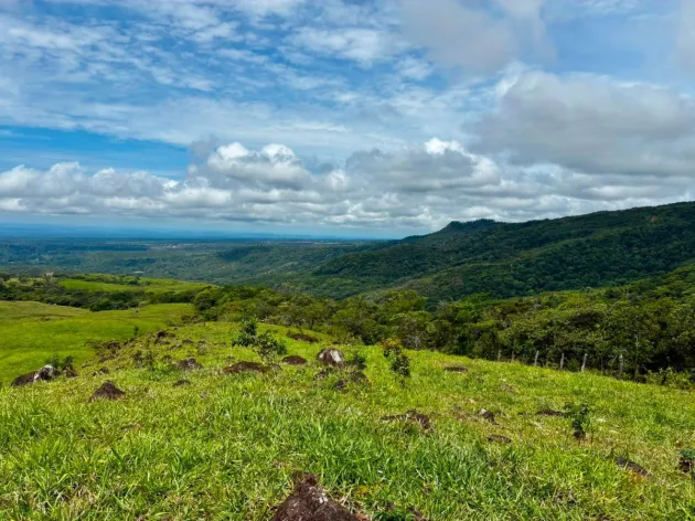 SE VENDE HERMOSA FINCA DE 16+ HECTAREAS EN JARAMILLO, BOQUETE