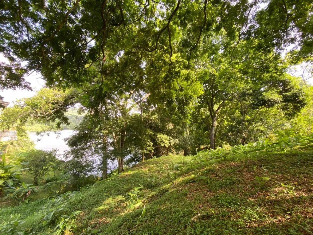 Land for Sale Facing Las Cumbres Lake