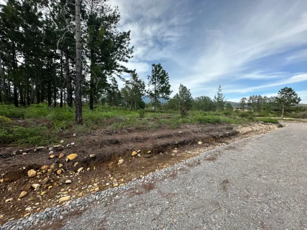 Terreno Arbolado de 2.154 m² en Venta en Alto Boquete