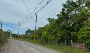 Land for Sale 9.9 Hectares in San Carlos
