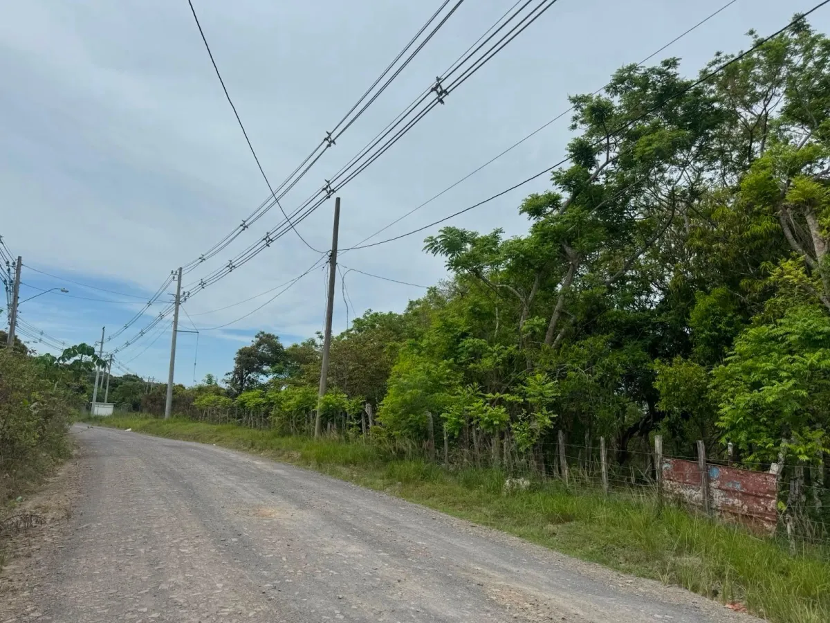 Venta de Terreno de 9.9 Hectáreas Cerca de Playas en El Higo, San Carlos