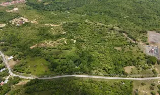 Land for Sale 9.9 Hectares in San Carlos