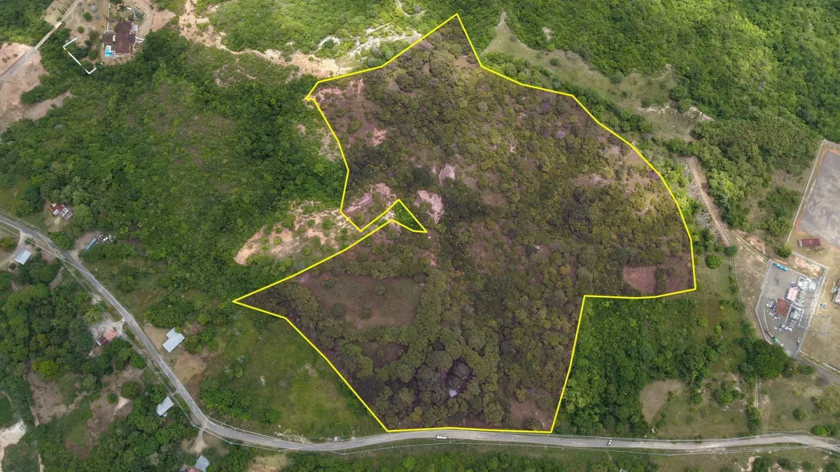 Venta de Terreno de 9.9 Hectáreas Cerca de Playas en El Higo, San Carlos