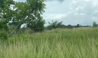 Terreno 5.4 HA en Coloncito de Nueva Gorgona.