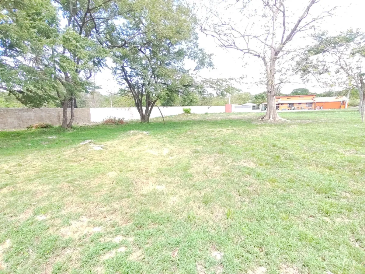 Land at an excellent price in a gated community.