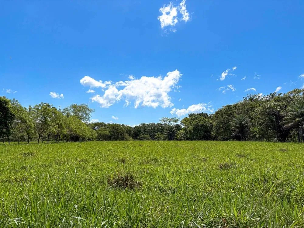 Se Vende Finca Ribereña de más de 3 hectáreas en Guacá, David