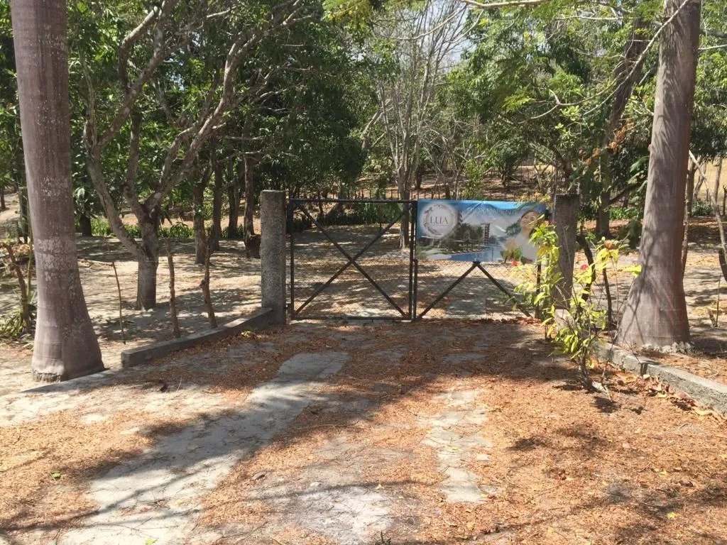 Beachfront property in Riomar - San Carlos