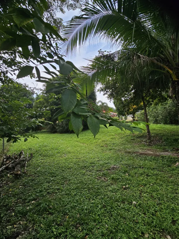 Venta de terreno con casa en Cantarrana, Chitré