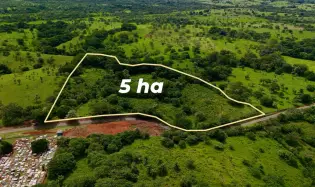Terrenos agrícolas cerca de David Panamá