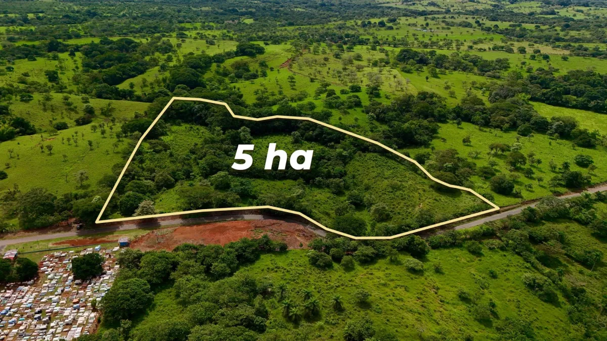 Terrenos agrícolas cerca de David Panamá
