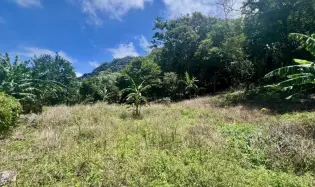 AMPLIO TERRENO DE MONTAÑA EN LA LAGUNA