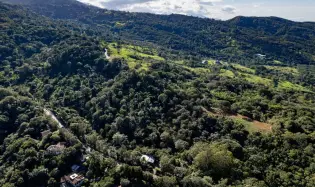 Boquete Coffee & Avocado Farm w/ Volcán Barú Views