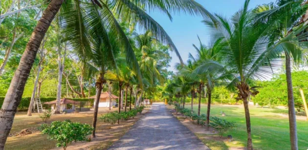 SPECTACULAR COUNTRY HOUSES IN CHAME CORONADO.