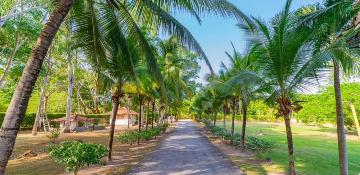 ESPECTACULARES CASAS DE CAMPO EN CHAME CORONADO.