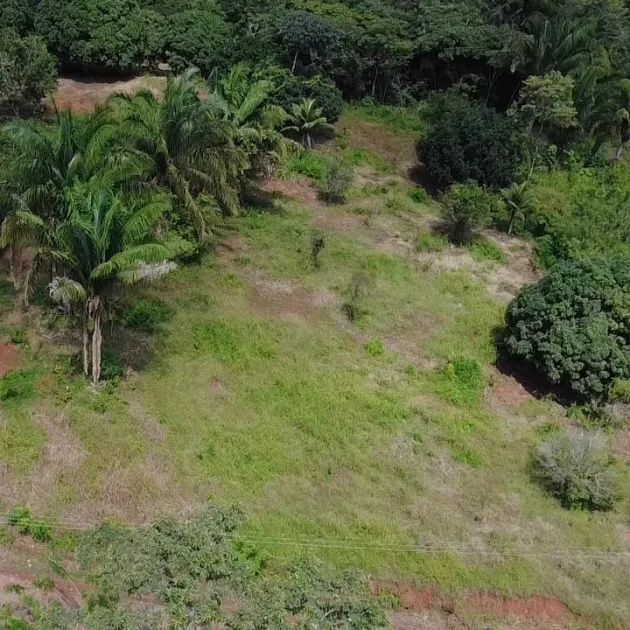 Excellent investment opportunity in Arraijan