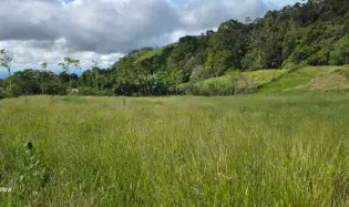 LOTE PLANO EN ÁREA NATURAL
