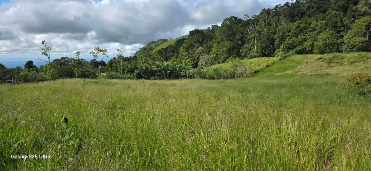 LOTE PLANO EN ÁREA NATURAL
