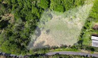Mountain Sanctuary: Serene Lot with Hillside Charm