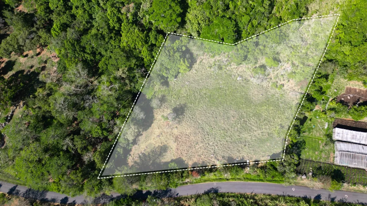 Santuario de montaña: lote sereno con encanto de colina