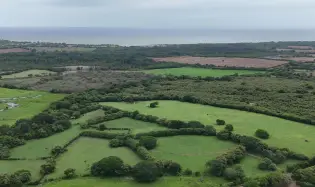 For Sale Land 9.8 Hectares in Las Tablas