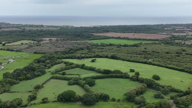 For Sale Land 9.8 Hectares in Las Tablas