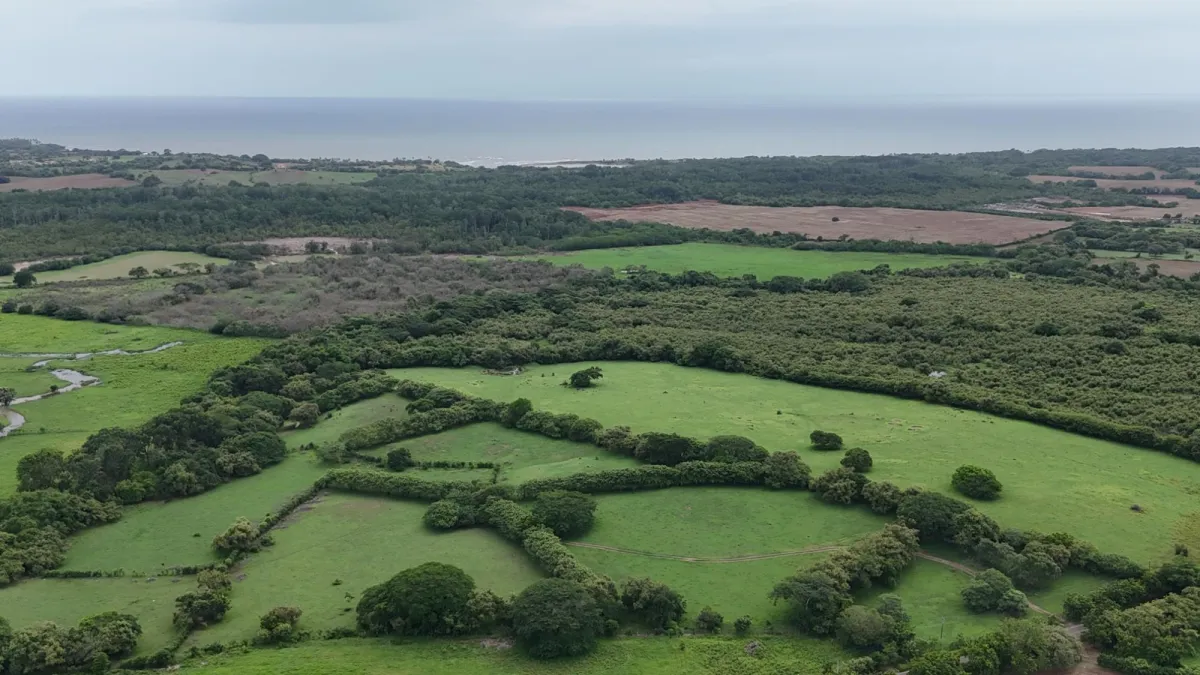 Venta Finca 9.8 Hectareas en Las Tablas