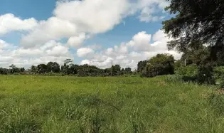 2.19 Hectares of Flat Agricultural Land in david
