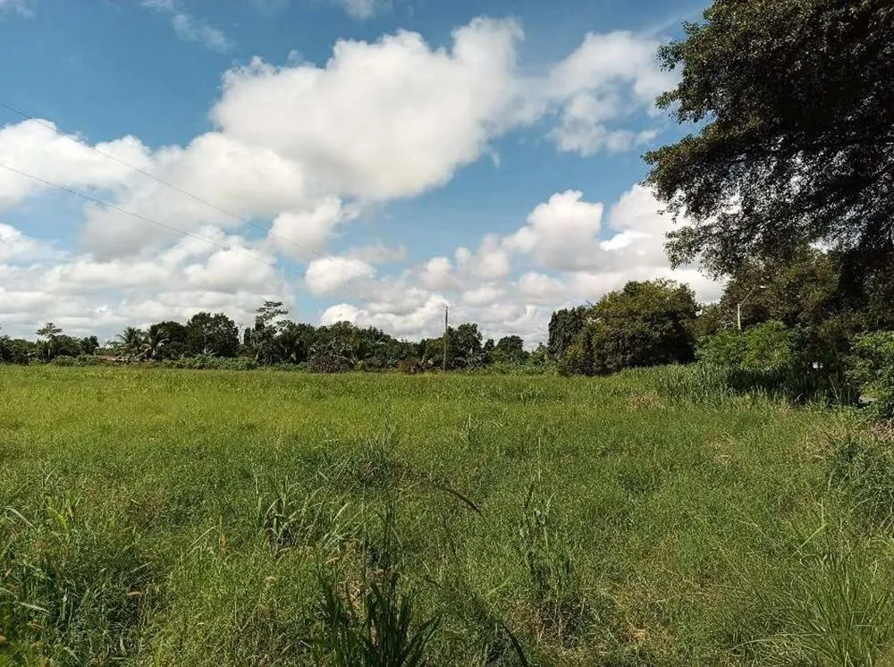 2,19 hectáreas de terreno agrícola llano en David