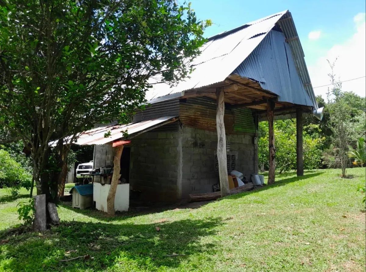 3+ HA in Capira