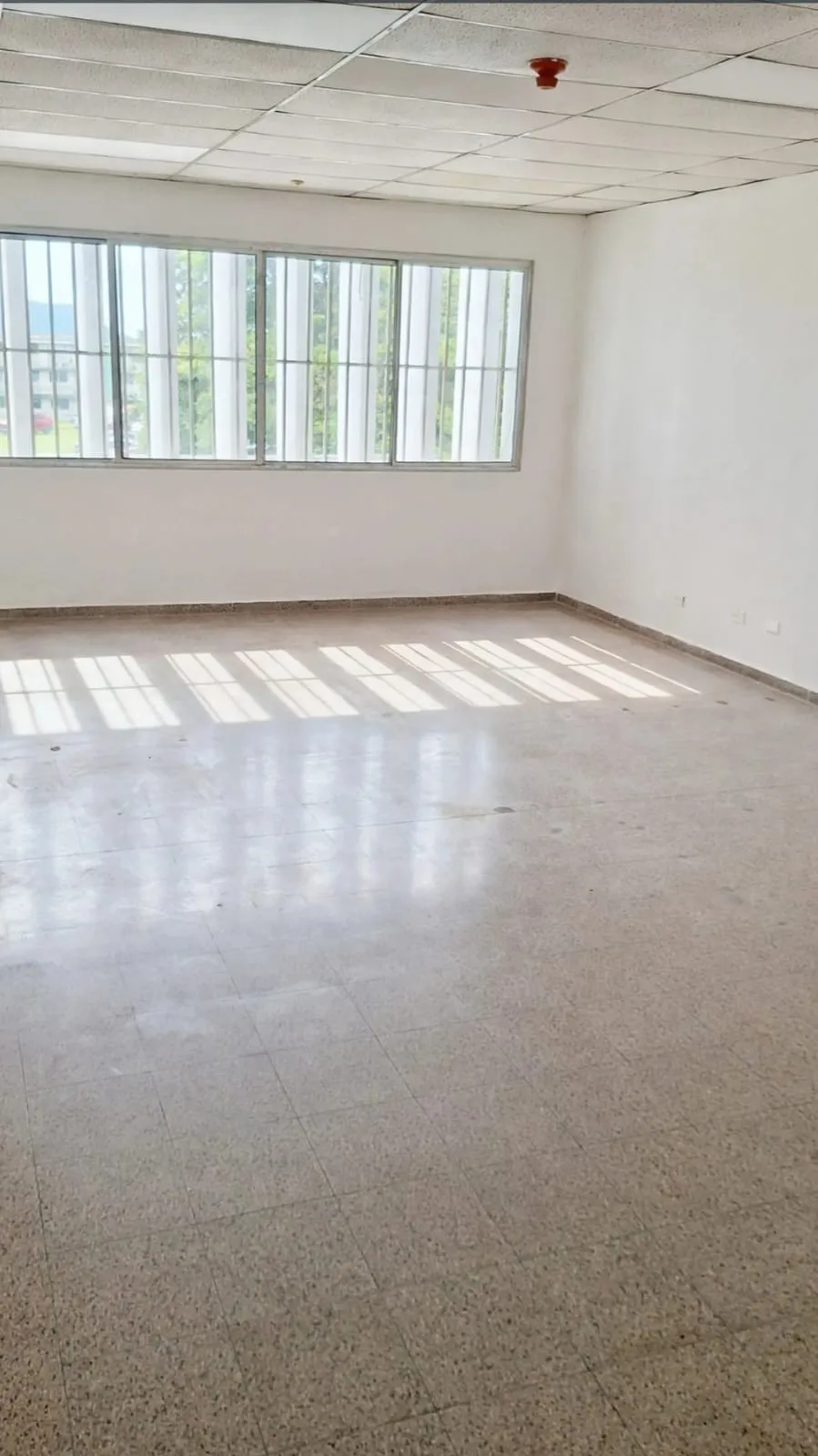 Commercial Spaces for Rent | Plaza Siglo XXI, La Locería. GM